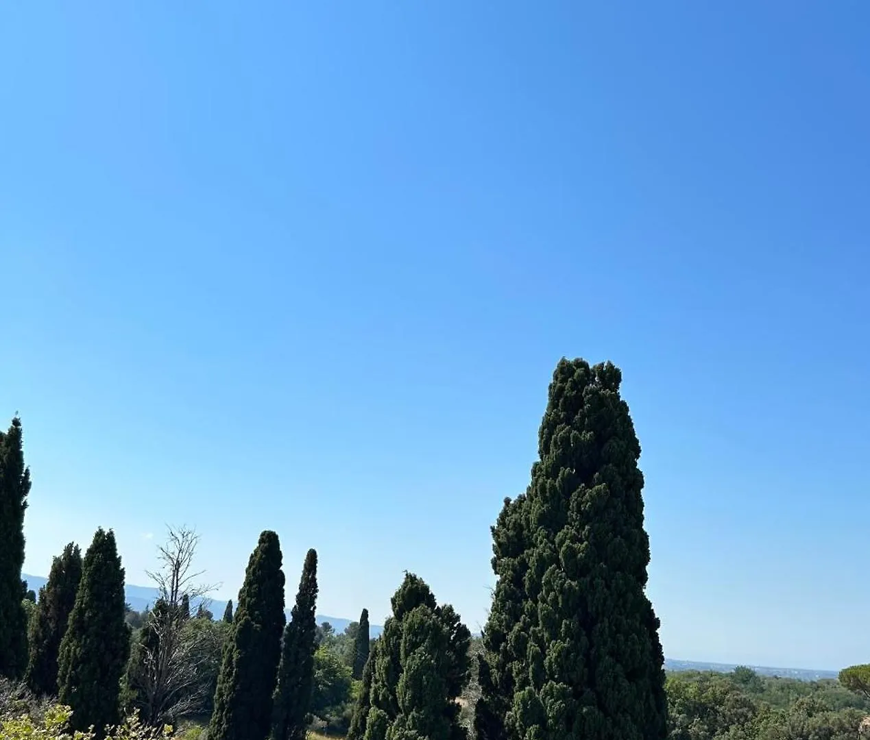 A Pochi Passi Dal Centro Apartment Bolgheri